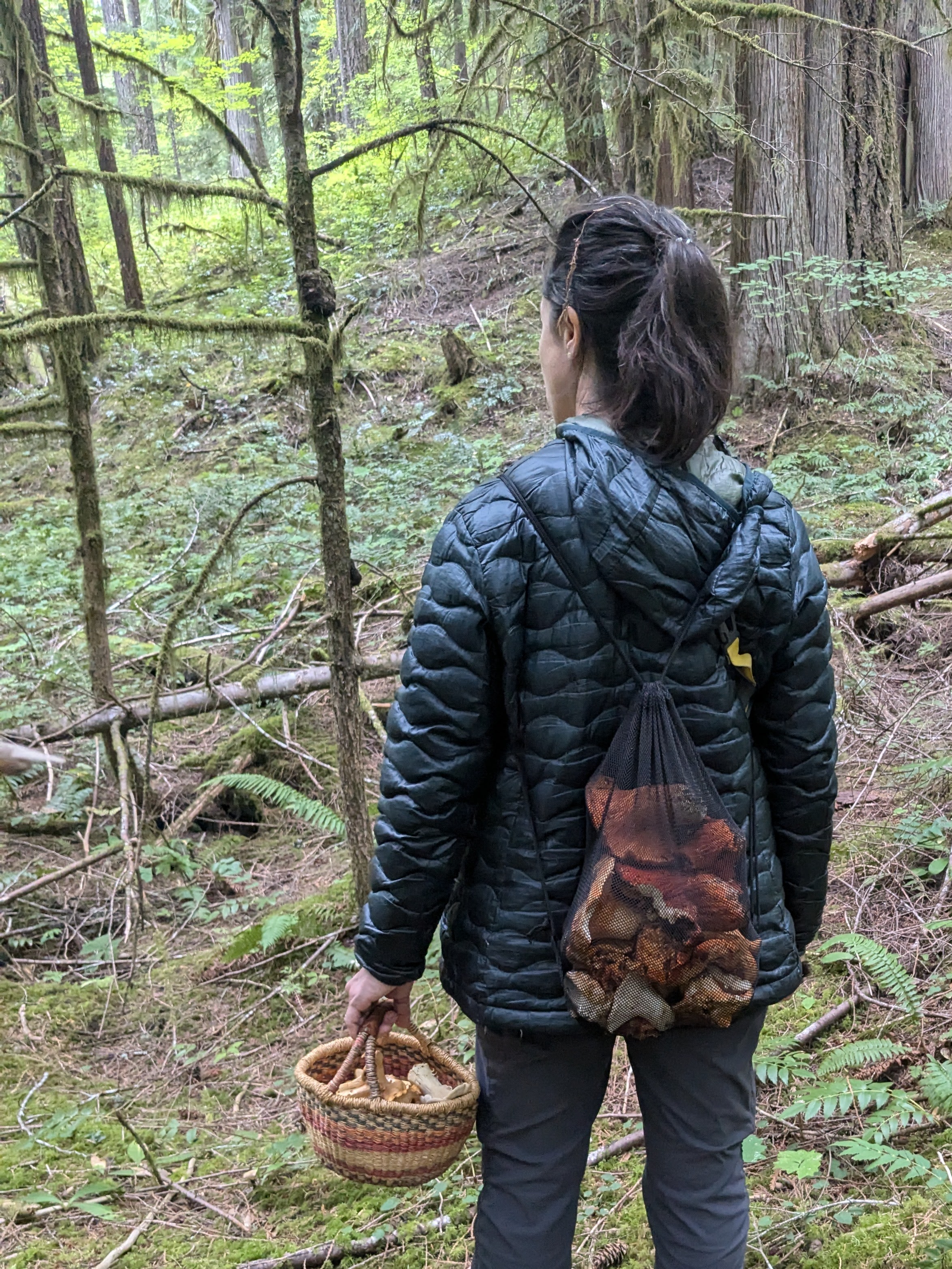 person standing in the forest